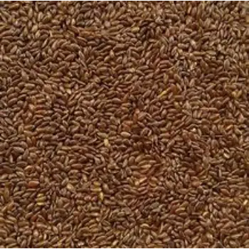 Organic Roasted Flax Seeds