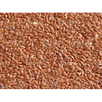 Natural Roasted Flax Seeds
