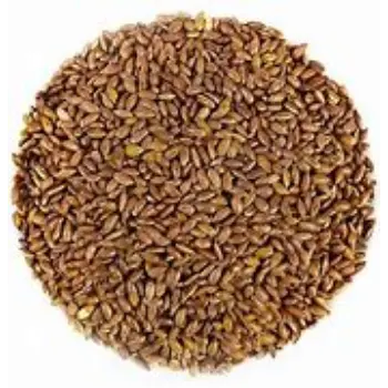 Roasted Flax Seeds