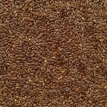 Roasted Flax Seeds