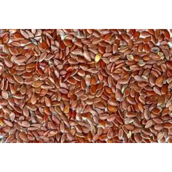 Roasted Flax Seeds