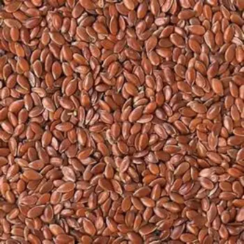 Fresh Roasted Flax Seeds