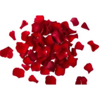 Roshni Agri forestry Rose Petal
