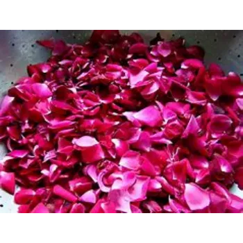 Rose Petal