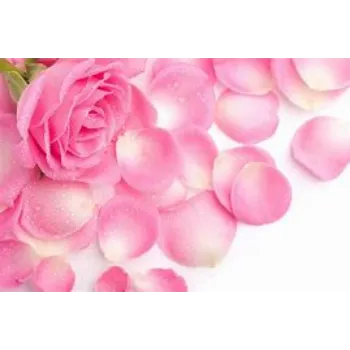 Rose Petal