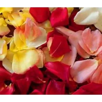 fresh  Rose Bouquet