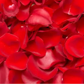 A.p. Flower Mart   Rose Petal