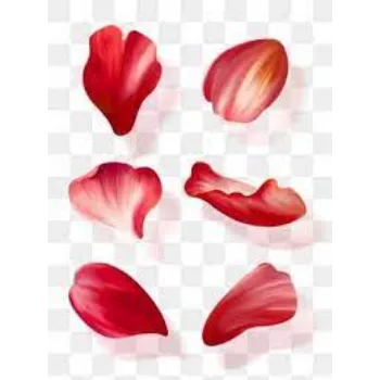red  Rose Petal