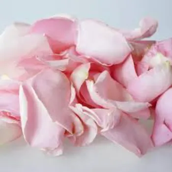 Natural Rose Petal