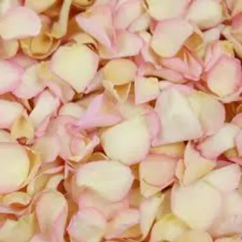 Natural Rose Petal