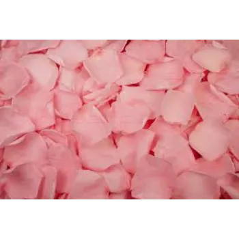 Natural Rose Petal