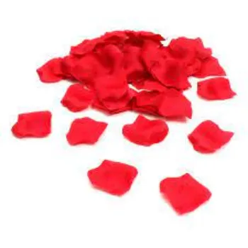 Red Rose Petals