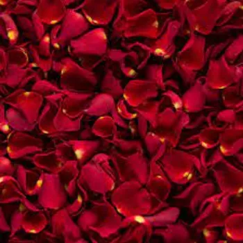 Natural Rose Petals