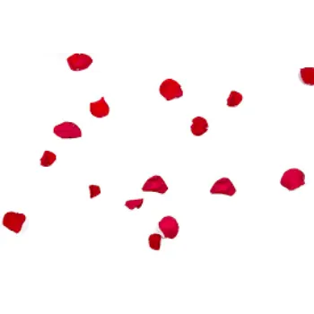 Organic Rose Petal