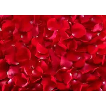 Natural Rose Petals
