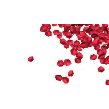 Fresh  Rose Petal