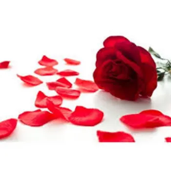 Natural Fresh Rose Petal