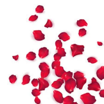 Natural  Rose Petal