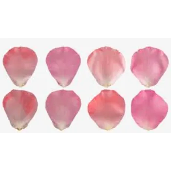 Natural Rose Petal