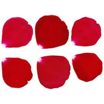Natural Rose Petal