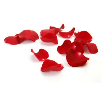 Fresh Rose Petal