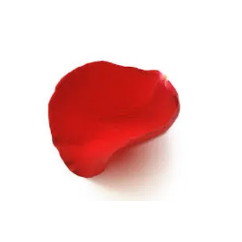 Fresh Rose Petals
