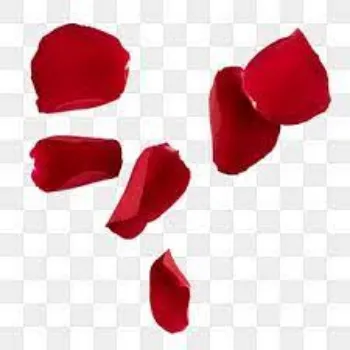 Organic Rose  Petals