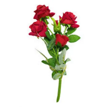 RAJESWARI NURSERY Rose Plant