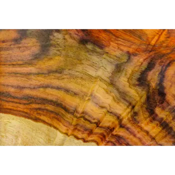 Silence Rosewood Veneer