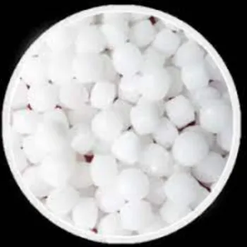 Sai Souriish Enterprises Round Camphor