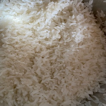  White Rice