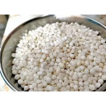 Sabudana