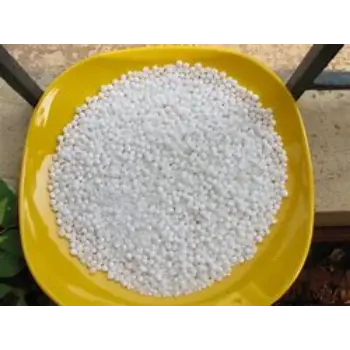 Sabudana