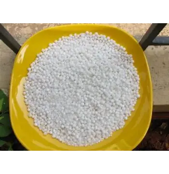  Natural Sabudana