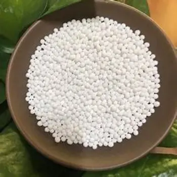 Sabudana