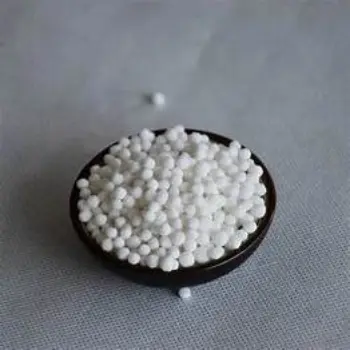 Fresh Sabudana