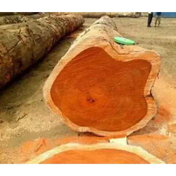 Polished Sal Wood