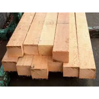  Sal Wood