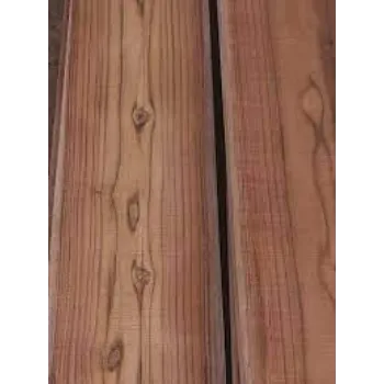 Contec Sal Wood