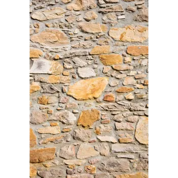 Iri Sandstone Wall Panel