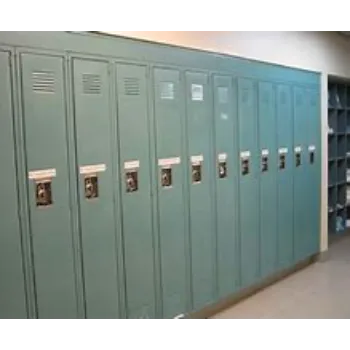Affordable school locker 