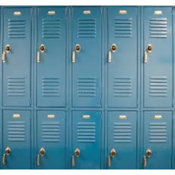 Modern School Locker