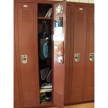 Modern School Locker