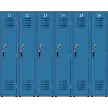 Stylish School Locker