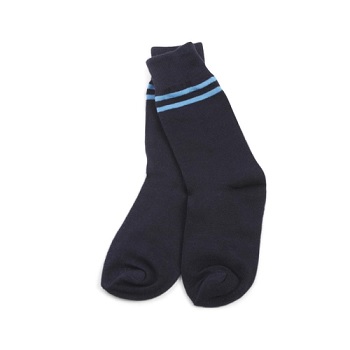 School Socks 