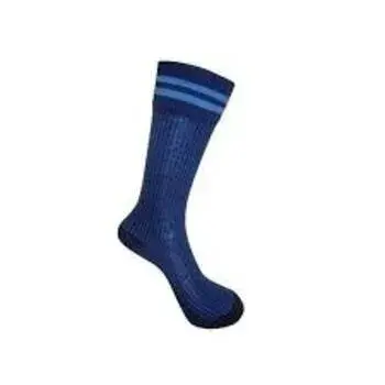 Blue School Socks