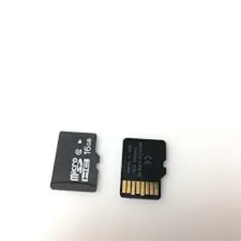 SD Memory Card