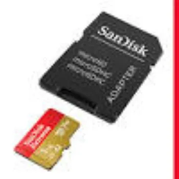 SD Memory Card