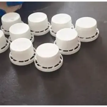 Seal Cap
