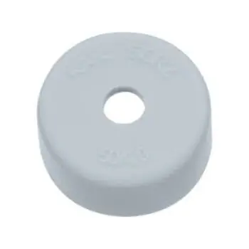Seal Cap